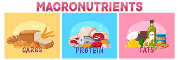 Understanding Macronutrients: Proteins, Carbs, and Fats